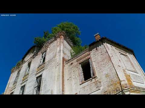 Видео: Едем в Чернево Томашево Обрадово
