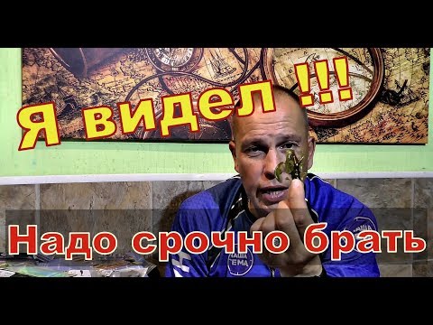 Видео: Куплю эту приманку, на неё хорошо клюёт вся рыба. Лучшая приманка на щуку