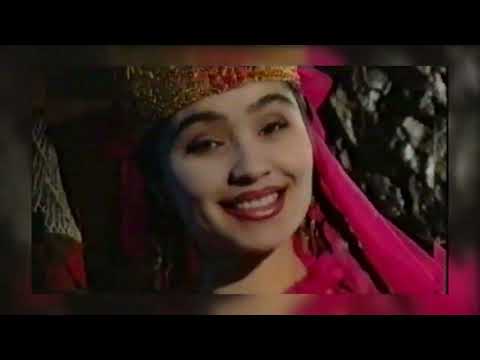 Видео: 12 ноября 2025 г.