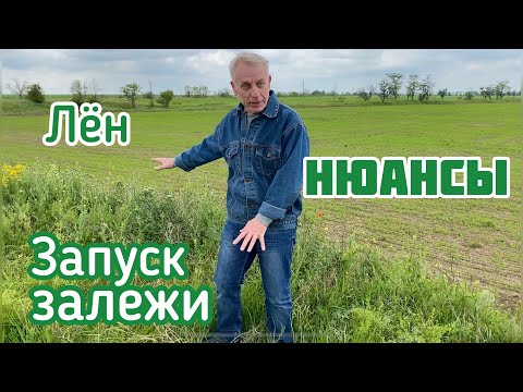 Видео: Нюансы запуска залежных земель без обработки почвы