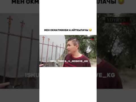 Видео: Гангир башпы булар дейтко 😂 #тамашоу #жанылыктар →