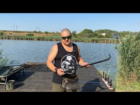 Видео: Карп клюет в жару 40 градусов !!! Спортивный водоем. #carpdesign #carpfishing #carp #fishing 