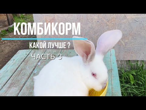 Видео: Опыт по кормлению кроликов комбикормами разных фирм часть 3