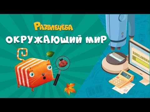 Видео: Развлечёба. Что будет, если...уменьшиться до размеров муравья