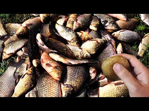 Видео: Супер насадка для рыбалки по холодной воде.