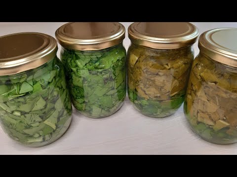 Видео: 2 ЛУЧШИХ Способа! Заготовка щавеля НА ЗИМУ