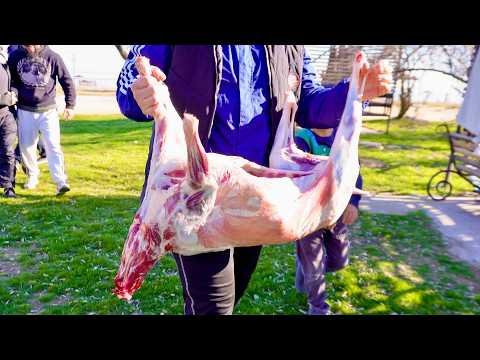 Видео: Готовим ЦЕЛУЮ козу