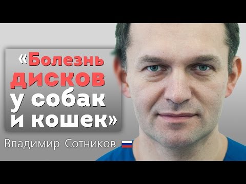 Видео: Болезнь дисков у собак и кошек. IVDD