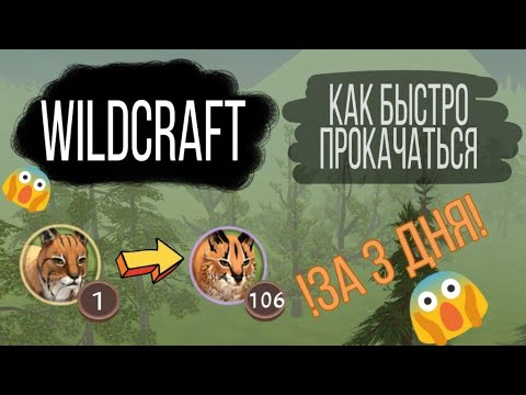 Видео: WildCraft / Как быстро прокачаться / За 3 дня / How to pump fast