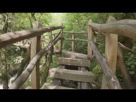 Видео: Екопътека "Бяла река", Bulgaria,Central Balkan National Park - Eco-trail "Byala reka"