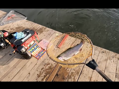 Видео: Ловля ФОРЕЛИ на платнике! Пионерский пруд в Селятино! Нормально открыли сезон! Рыбалка на СПИННИНГ!