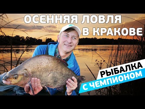 Видео: Фидерная ловля осеннего леща на реке Висла! Рыбалка с чемпионом!