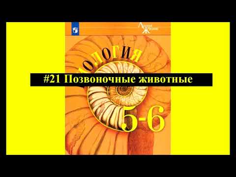 Видео: Биология параграф #21 Позвоночные животные