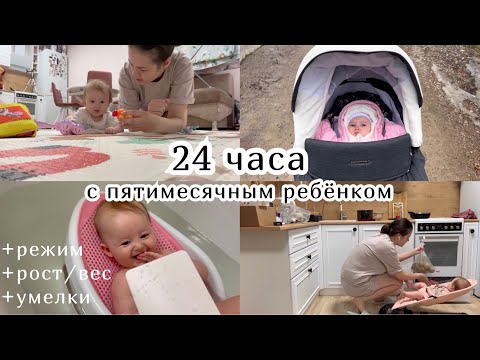 Видео: 24 ЧАСА С ПЯТИМЕСЯЧНЫМ РЕБЁНКОМ :) Режим. Рост/вес. Умелки.