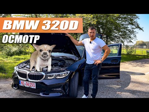 Видео: BMW 320d с пробегом 140 тыс. км - собака сломала кнопку, стоит брать?