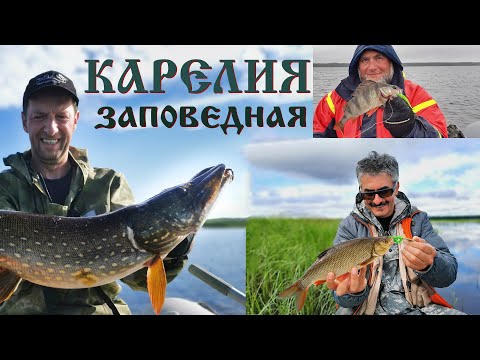 Видео: Карелия заповедная