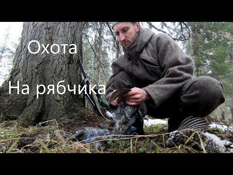 Видео: Охота.Заболтал рябчика и подошёл на выстрел.