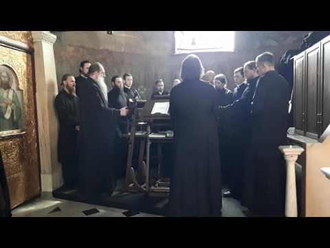 Видео: Херувимская песнь