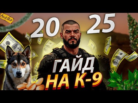 Видео: ГАЙД НА K-9 | #majestic #gta5rp