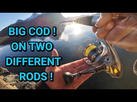 Видео: Арктическая треска! На удочки и спиннинги!