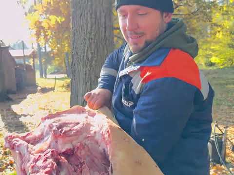 Видео: Досвідчений Майстер показує як розібрати тушу свині. Швидкий і легкий спосіб