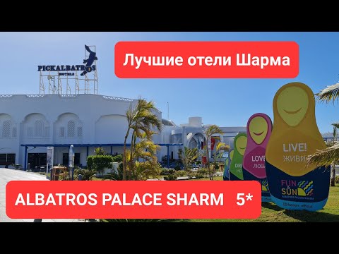 Видео: Оцените. Египет. Свежий обзор Март 2022. Последние новости. Albatros Palace Sharm #египет #альбатрос