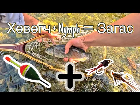 Видео: ХӨВӨГЧ🎣 + NYMPH 🐛 /Загасчлалын ЗААВАР/ MubaTV-тэй Загасчилъя /floater+nymph=fish/
