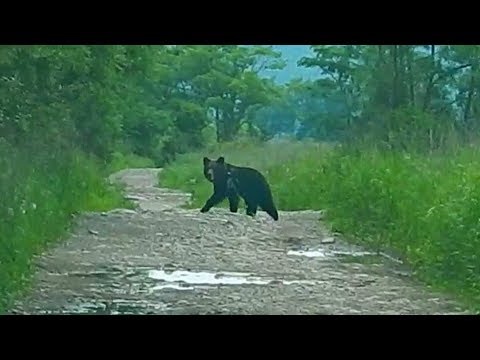 Видео: Как одеть швабру на крючок. Почему надо шуметь на рыбалке.