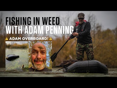 Видео: Рыбалка на водоросли с Адамом Пеннингом | Ловля карпа