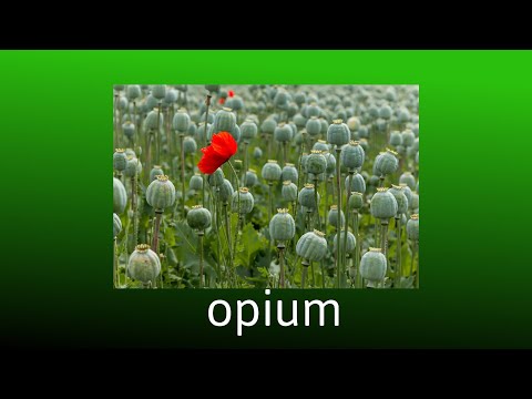 Видео: Синтетические опиоиды. Куда пропал героин?