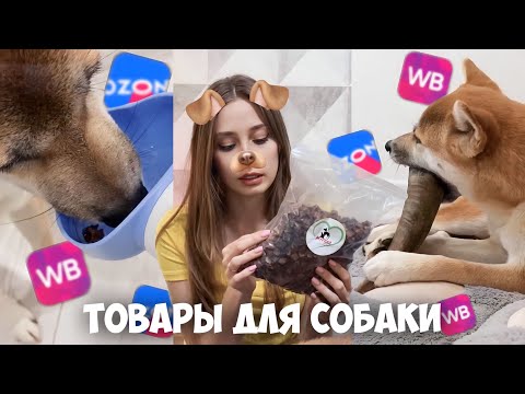 Видео: ЛУЧШИЕ ТОВАРЫ ДЛЯ СОБАКИ С МАРКЕТПЛЕЙСОВ!🦮