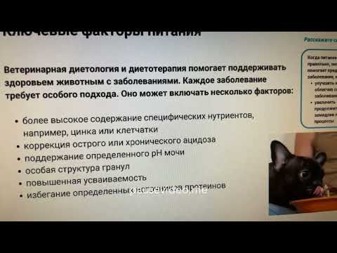 Видео: Основы диетологии - белок.