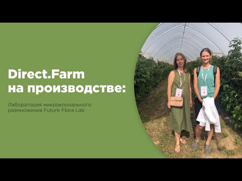 Видео: Direct.Farm на производстве: Лаборатория микроклонального размножения Future Flora Lab
