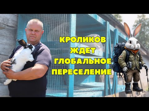 Видео: Установка новых клеток для кроликов