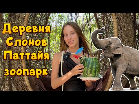 Видео: Деревня слонов в Паттайе 2023. Тайское ШОУ.Зоопарк|БЕСПЛАТНЫЕ коктейли|Elephant Village|Тайланд 2023
