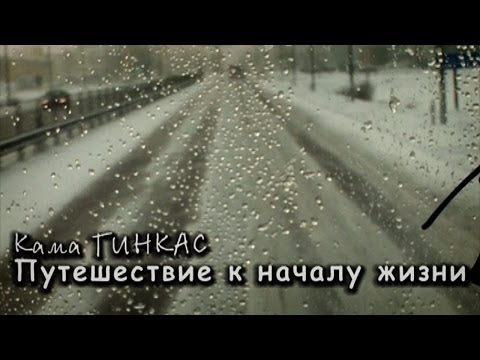 Видео: Кама Гинкас. Путешествие к началу жизни.