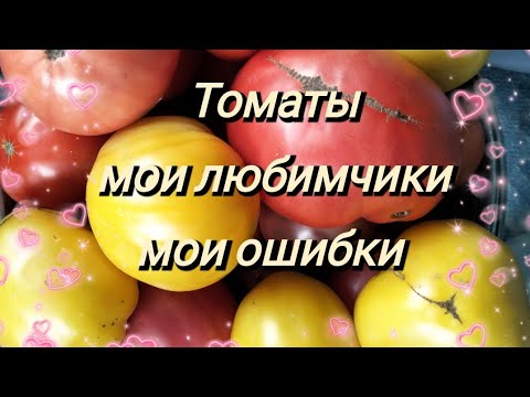 Видео: Томаты семена!Мои любимчики!Мои ошибки)))