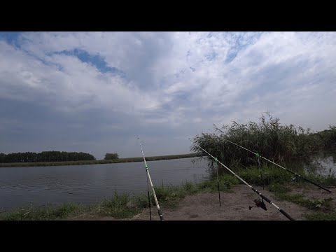 Видео: Рыбалка с ночевкой! Бешеный клев леща и крупный карась.