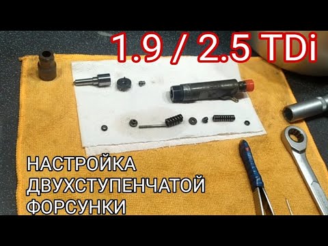 Видео: Настройка двухступенчатой форсунки 2.5 и 1.9 TDI.