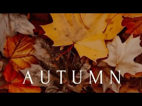 Видео: ВЛОГ/Школа 🙃9класс 🥰