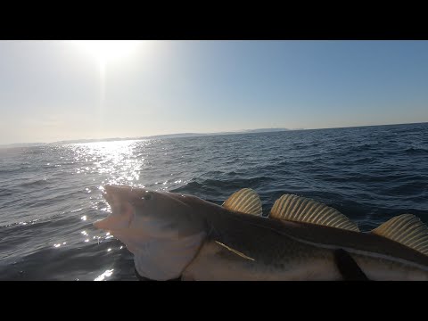 Видео: МОРСКАЯ РЫБАЛКА В БАРЕНЦЕВОМ МОРЕ / Открытие сезона / Треска / Остров Кильдин /18.04.21г.