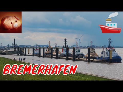 Видео: 🌊 БРЕМЕРХАФЕН - ЖИВОПИСНЫЙ ПОРТ НА СЕВЕРЕ ГЕРМАНИИ