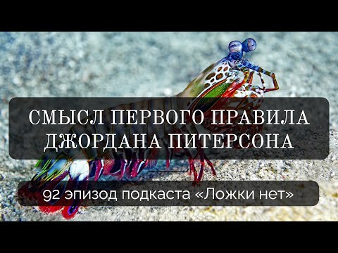 Видео: 92. Правило 1. Смысл первого правила