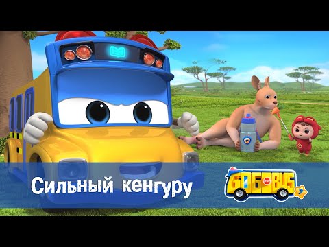 Видео: 🚌Школьный автобус Гордон. Сезон 7 - Серия 7.Сильный кенгуру - Мультфильм