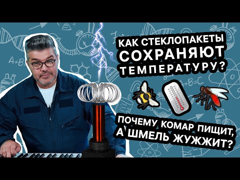 Видео: Что помогает зимой сохранять дома в тепле? / Проверено наукой