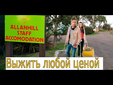 Видео: Жизнь  и проживание  на ферме в Шотландии