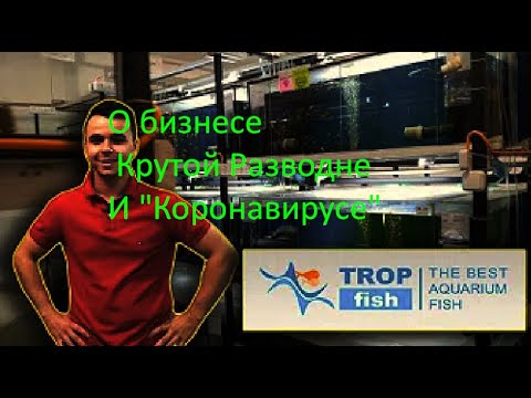 Видео: Предупреждение! Людям со слабой психикой,не рекомендуется смотреть это видео до конца!