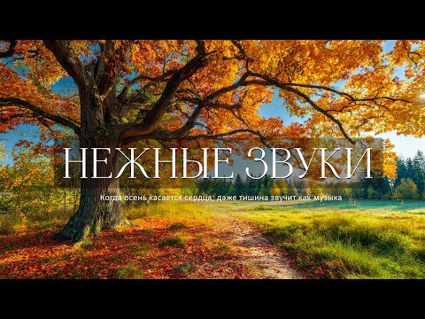 Видео: Послушайте Эту Музыку И Вам Станет Легче!🍁Нежные осенние мелодии для очищения разума, снятия стресса