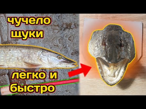 Видео: ЧУЧЕЛО ИЗ ГОЛОВЫ ШУКИ.DIY