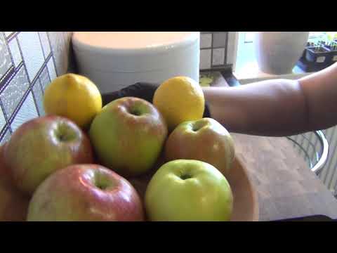 Видео: ДОМАШНЯЯ ПАСТИЛА "ЯБЛОКО-ЛИМОН"